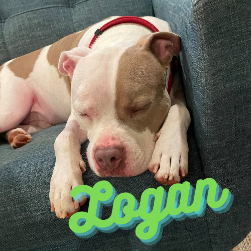 Logan